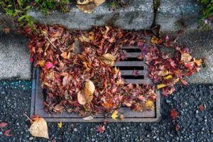 Leaves in sewer removal | Aaron Swift Plumbing provides reliable same-day plumbing services, available seven days a week, throughout Wayne, Oakland, and Macomb Counties in Michigan aaronswift.com