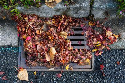 Leaves in sewer removal | Aaron Swift Plumbing provides reliable same-day plumbing services, available seven days a week, throughout Wayne, Oakland, and Macomb Counties in Michigan aaronswift.com