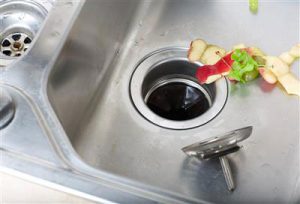 Garbage disposal donts | Aaron Swift Plumbing provides reliable same-day plumbing services, available seven days a week, throughout Wayne, Oakland, and Macomb Counties in Michigan aaronswift.com